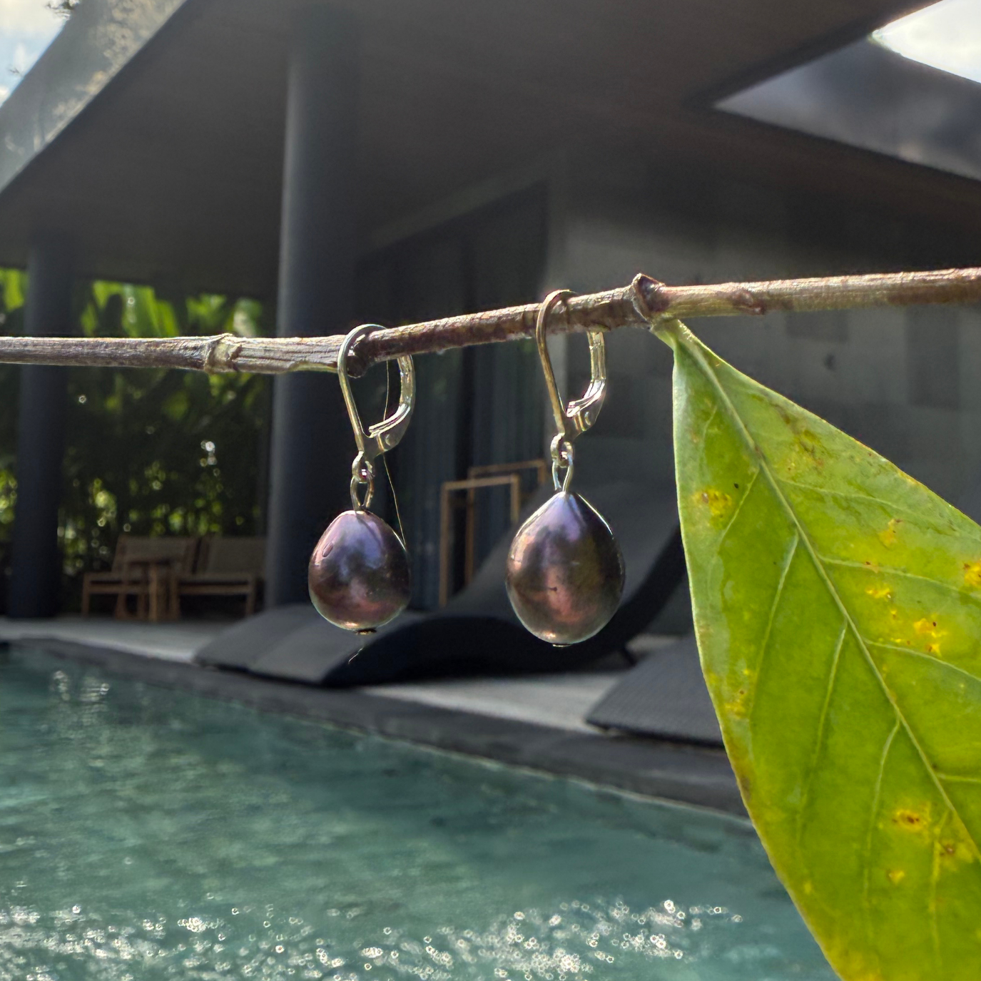 Eclipse - Pearls Earrings